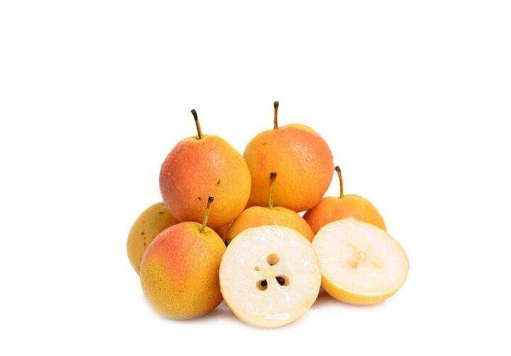 展示南果梨营养成分的图表,包括维生素C、钾、膳食纤维等关键营养素 南果梨营养成分表