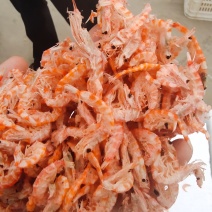 桂花虾补钙休闲即食食品