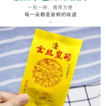 金丝皇菊大朵头采菊花茶一朵一杯