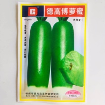 德高博萝蜜鲜食水果萝卜种子高产抗病脆甜高品质萝卜种子