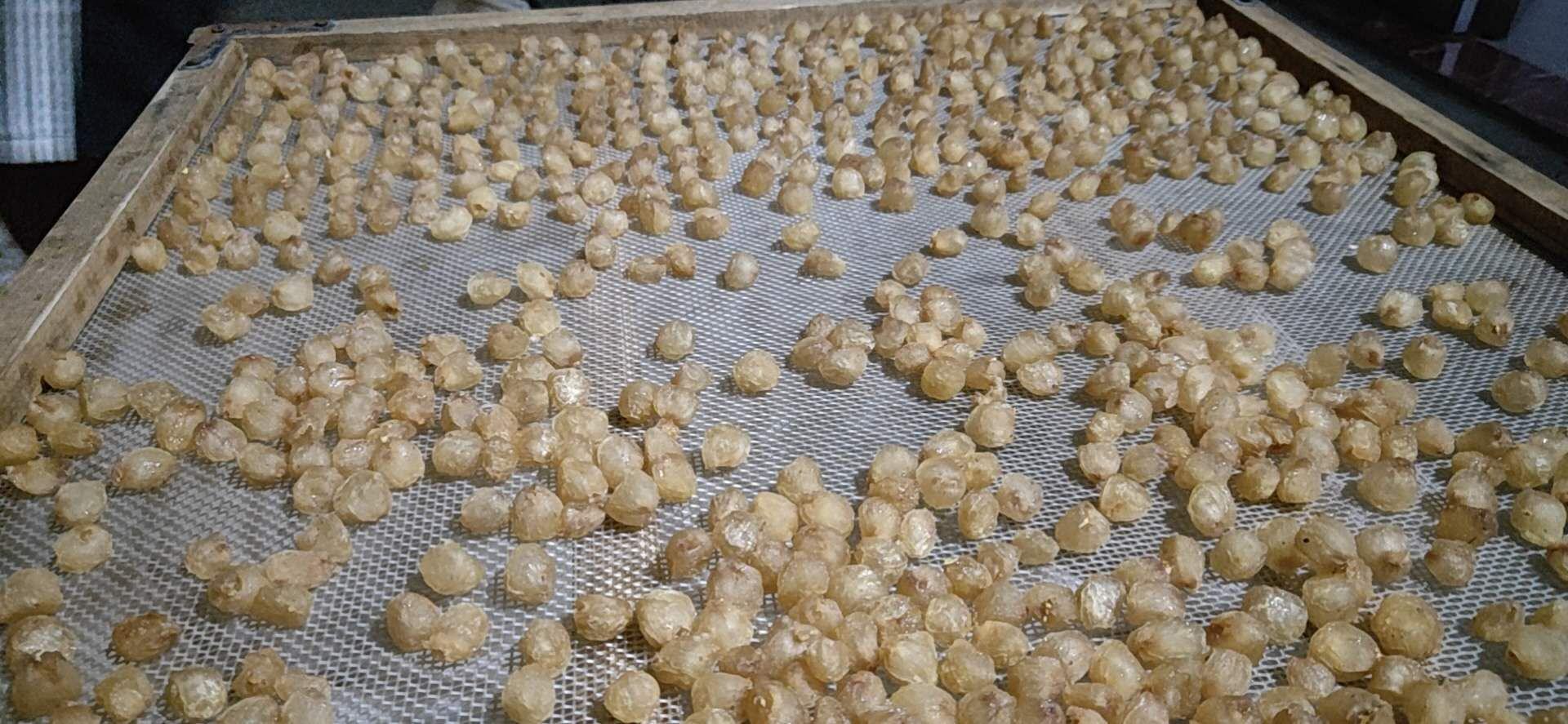 新鲜桂圆与桂圆干对比图