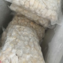 好吃的乌龟蛋，经过加工处理的，只需要去冰就好，省事方便。