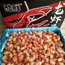 酷鲜龙虾尾，特级，虾尾