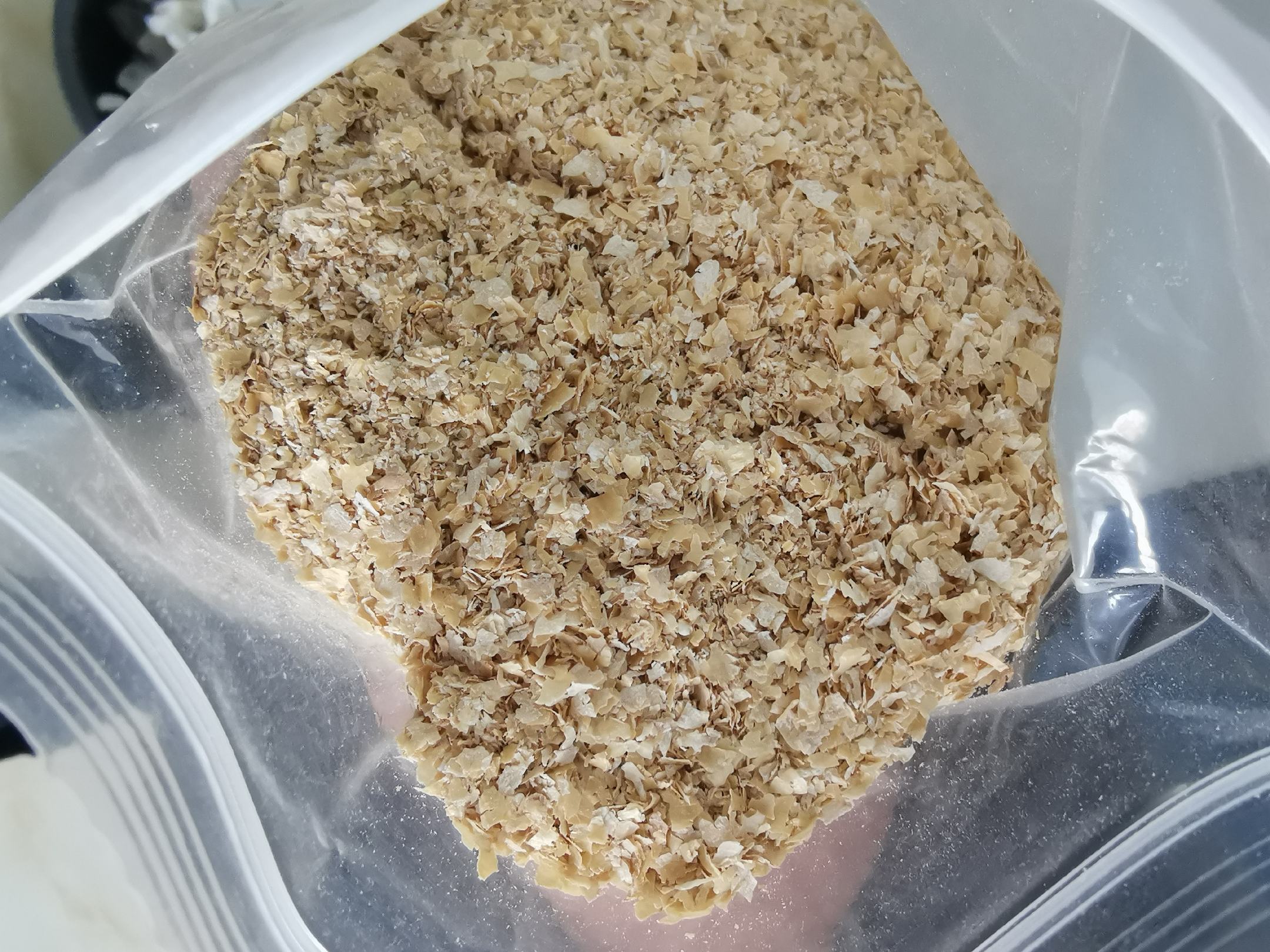 显微镜头下的小麦颗粒,表面呈浅黄色,质地坚硬,带有细微纹理,部分颗粒附着少量麸皮,背景为白色实验台,突出展示小麦的物理结构特征 小麦颗粒特写