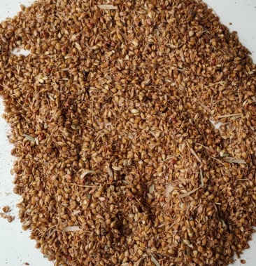 高粱糠,高粱细糠,高粱下脚料!