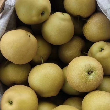 宜城市黄花梨价格行情走势 - 一亩田