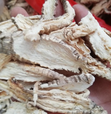 山海螺新货野生中药材羊乳根四叶参