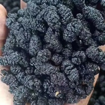 桑葚干，一级货，产地一手货源。