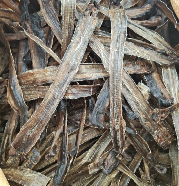 干净无泥,野生广地龙,过药检