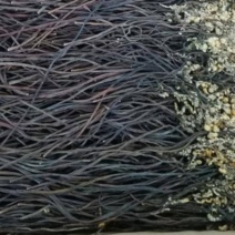 东北优质特级新鲜蕨菜干20斤一箱天然泡发率高天然生北朝