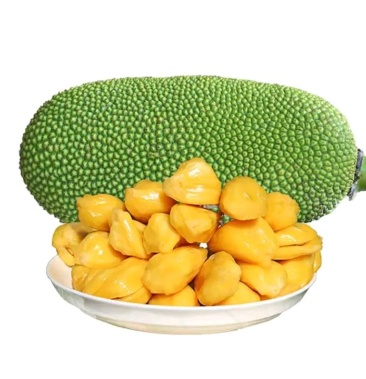 广西木菠萝脆甜可口现摘现发木菠萝