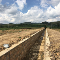 200亩蔬菜用地出租，可分租，立地条件好