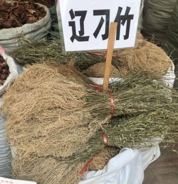 辽刁竹 扎把青绿色 干净根部 2020年新货