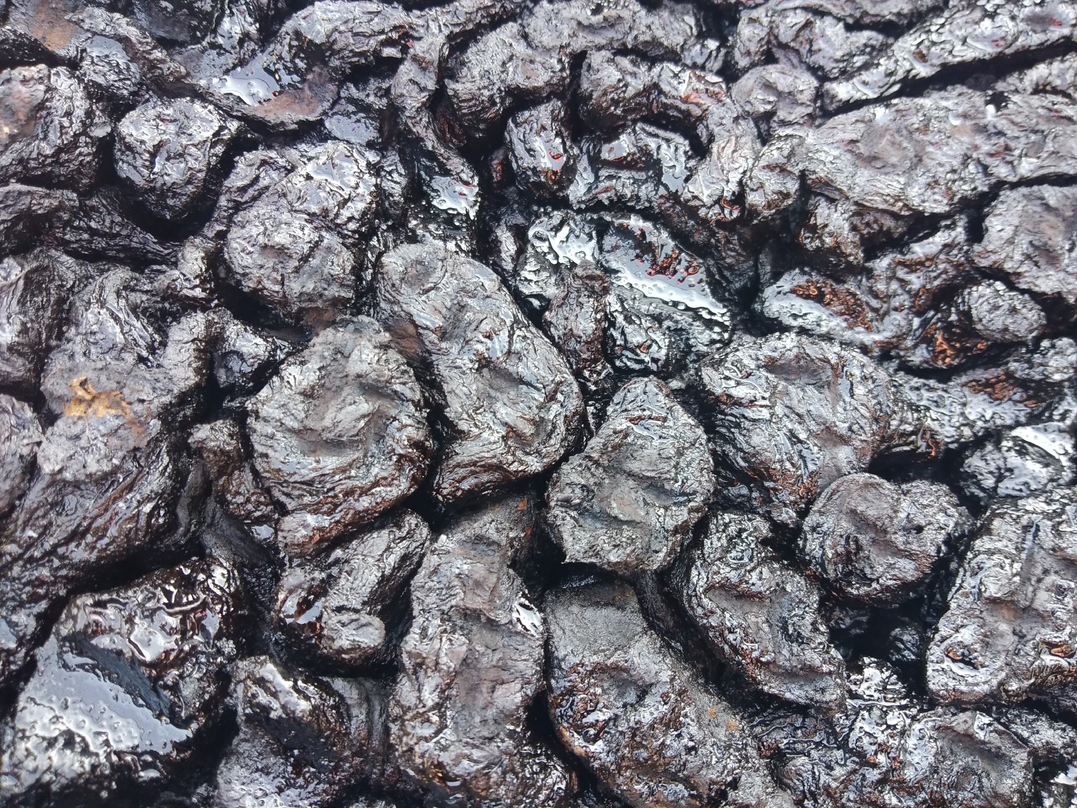 熟地黄与熟地炭的加工流程对比图