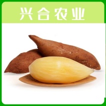 雪莲果26年新鲜上市了批发一件代发保证质量全年供应反季节