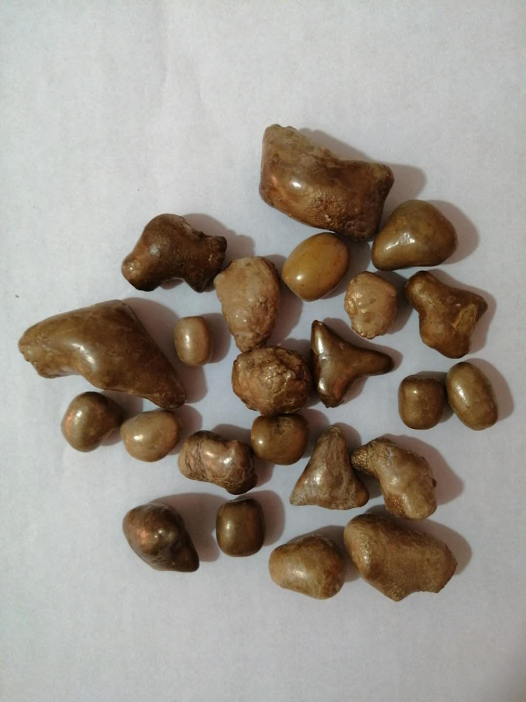 [牛肾批发]天然牛肾结石!非洲南美洲大陆进口!色泽光滑!价格70.