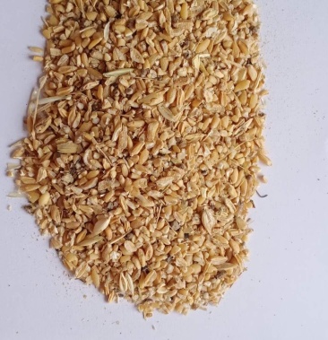 精品好货厂家优选碎小麦小麦下脚料量大优惠品质保证