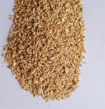 有好货碎小麦小麦下脚料精品好货量大优惠