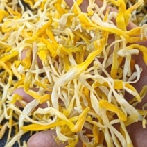 凉菜专用脱水黄花菜泡发率高，颜色鲜艳，口感脆甜产地直供