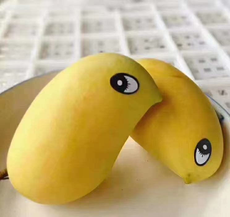 鹰嘴芒果与其他水果对比摆盘