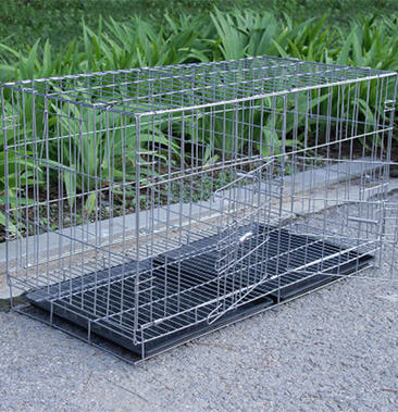 鸽子笼大号家用折叠带隔断鸽笼配对养殖繁殖笼子鸽子用具鸽棚