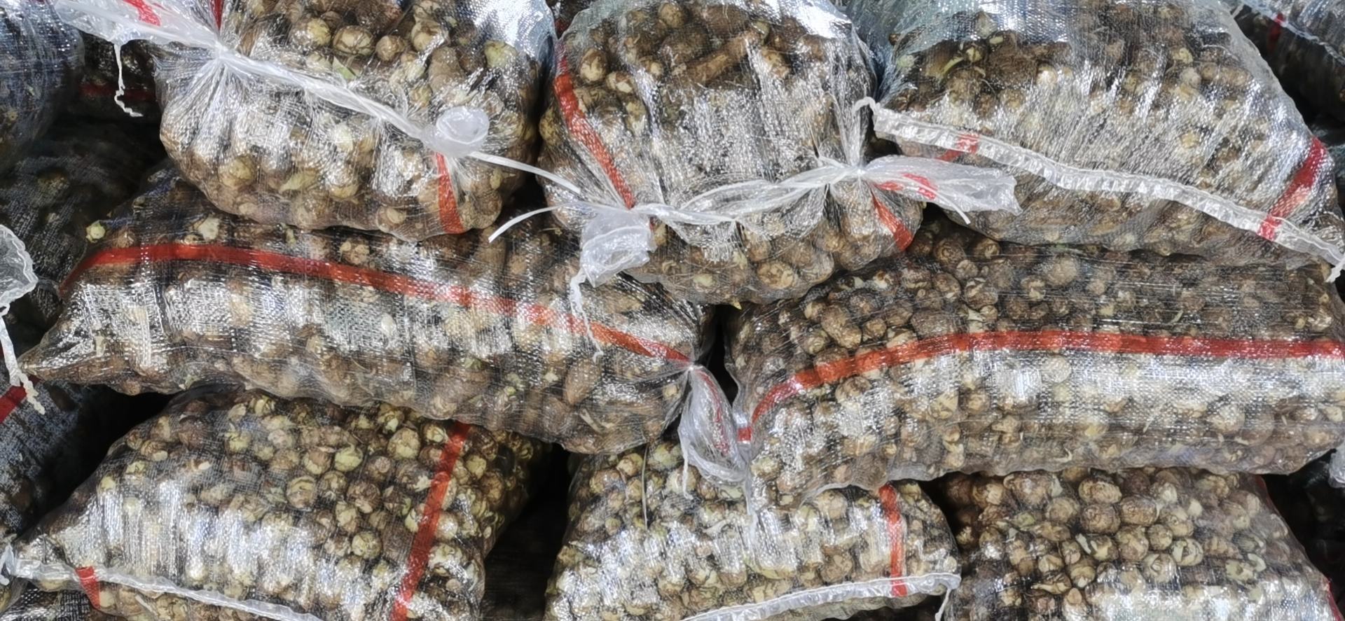 毛芋头电商直播间场景