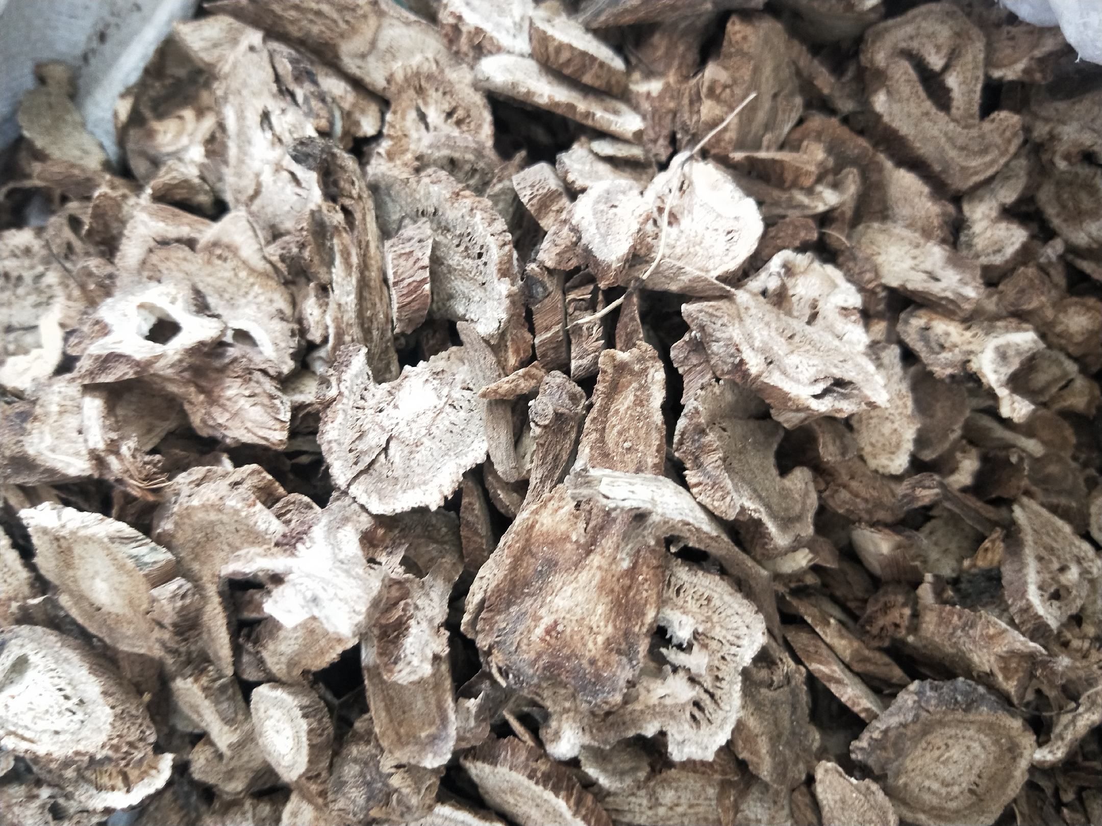 三块不同批次的非洲金花梨锯材并列摆放,展示其颜色从浅金黄到深红褐的变化,表面可见明显的径切纹理与波浪状花纹,边缘整齐,无明显节疤,背景为木材加工厂工作台 非洲金花梨板材对比图