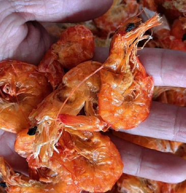 软壳虾白虾对虾虾干烤虾淡干活虾现烤好吃补钙