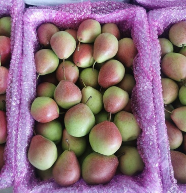 [七月红梨批发]红美酥筐装 250~300g价格0.90元/斤 - 一亩田