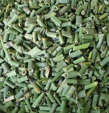 木贼2021年新货中药饮片木贼