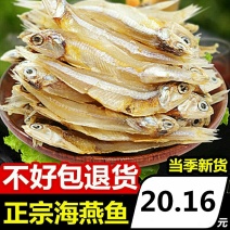 广西北海银鱼干500g特产海鲜干货