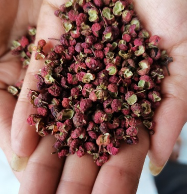 《有好货》陕西大红袍花椒,颜色红,麻味足,颗粒大.