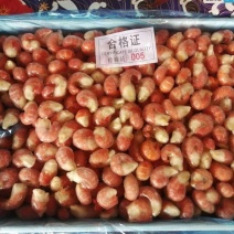 一级龙虾尾，量大从优