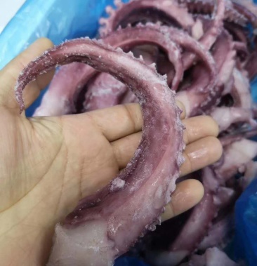 脆口章鱼须欢迎咨询