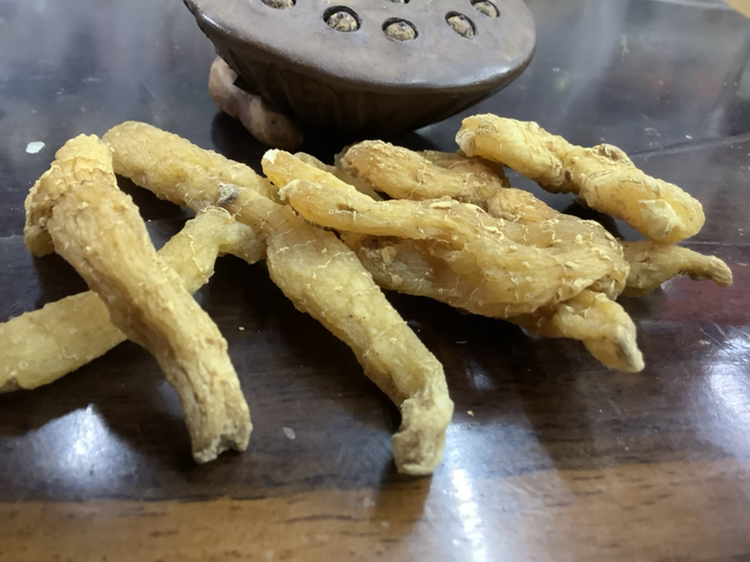 金虫草在金镶玉竹培养基上的生长特写