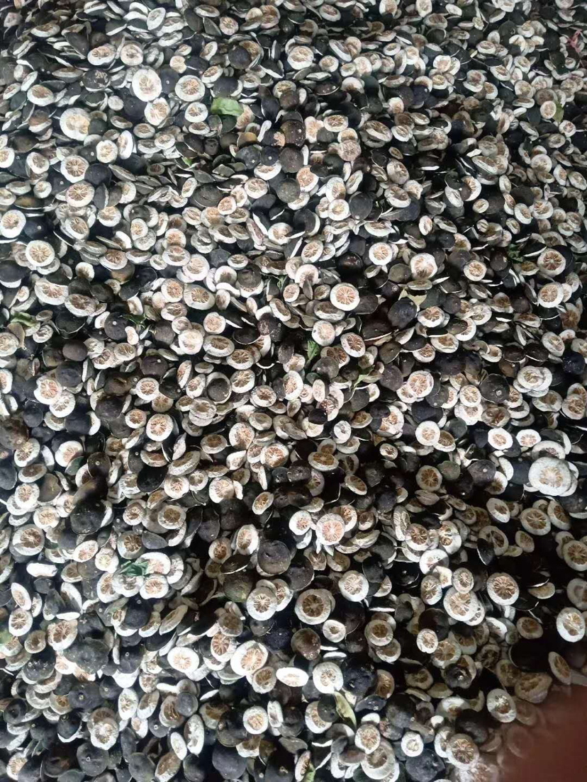 [枳壳批发]浙江衢州衢江区枳壳 11.00元/公斤枳壳有老总看上 _ 一亩田