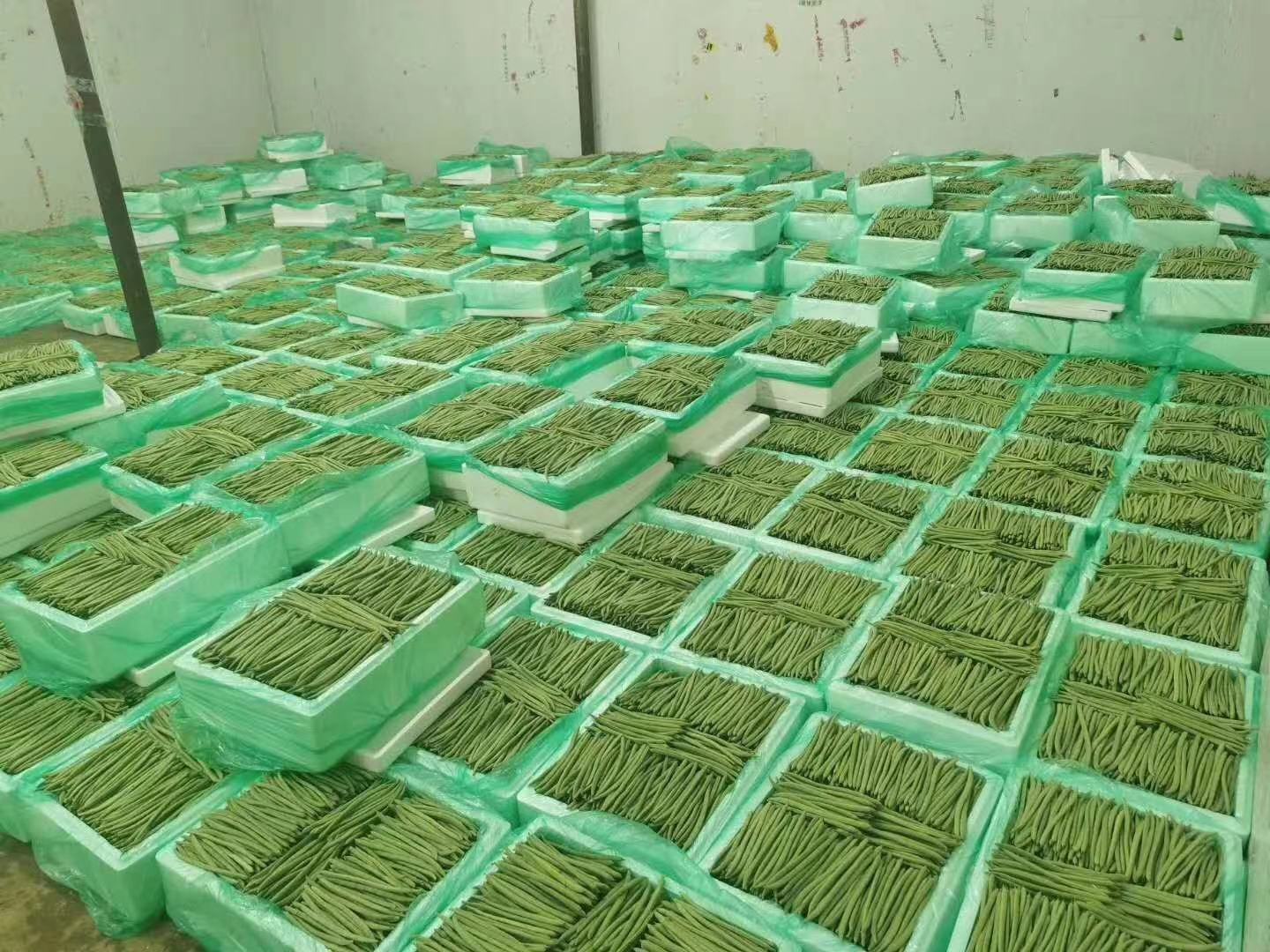 大豆期货交易市场