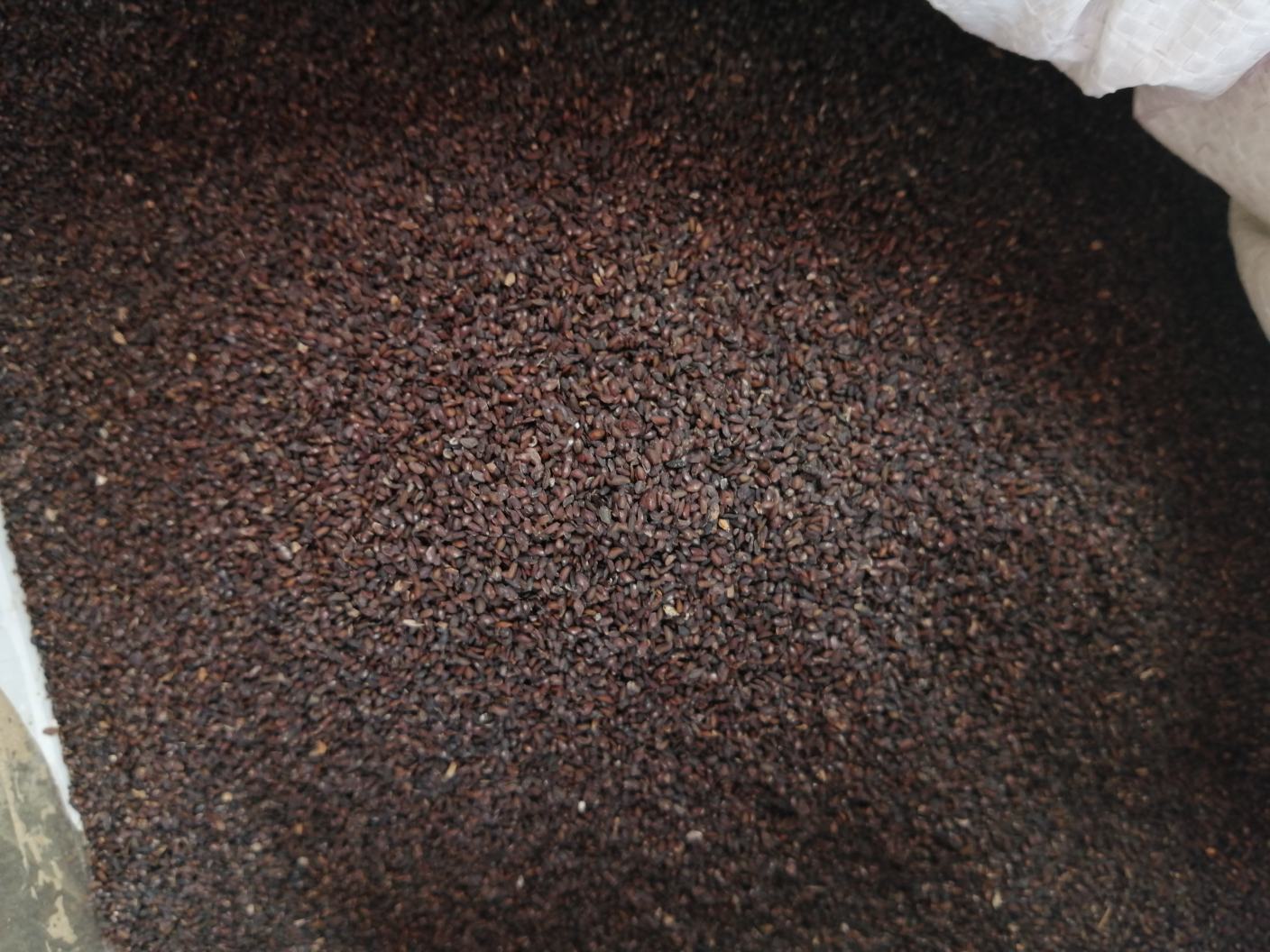 车前子与新鲜木瓜食材组合