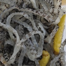 泡椒鱼皮（专供农贸市场菜市场批发商）