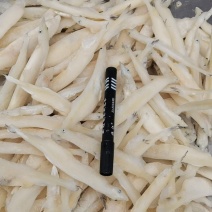 大条银鱼，白虾，毛刀鱼