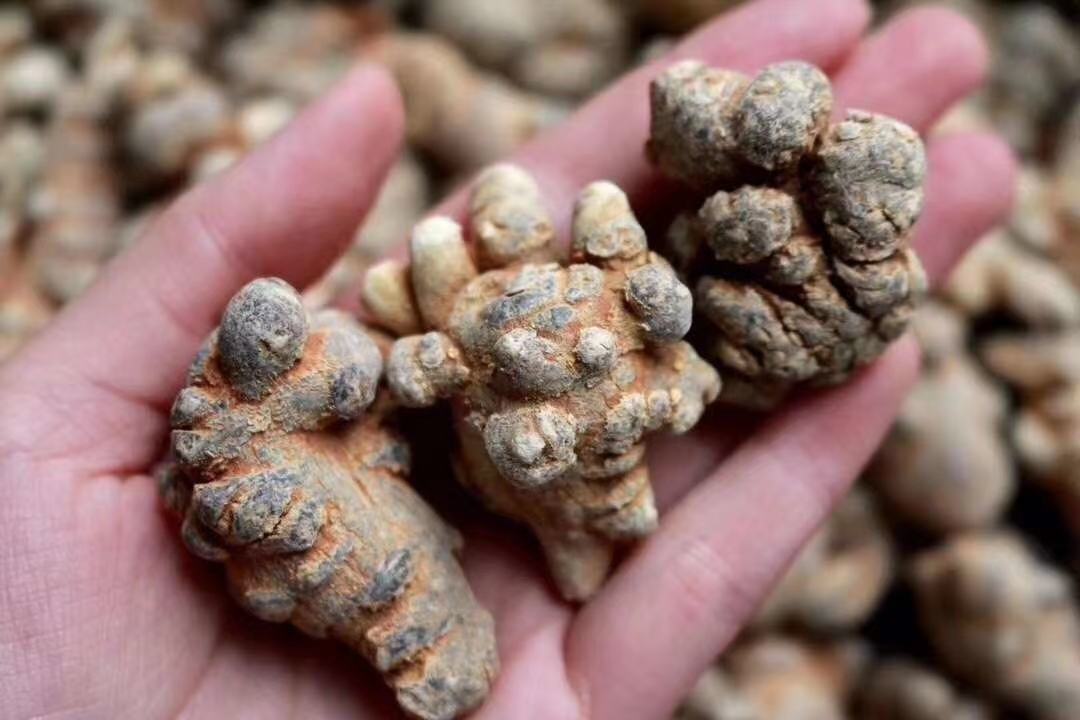 三七粉胃保护作用机制示意图
