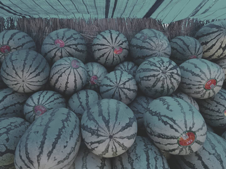 展示金花六号西瓜在水果摊或超市货架上的销售场景,周围有顾客挑选 金花六号西瓜在市场上的销售场景