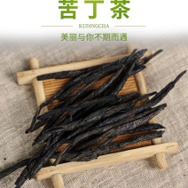 苦丁茶大叶苦丁苦丁条长条苦丁茶祛火茶