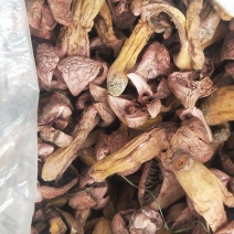 松蘑干。肉蘑干。有需要的联系我