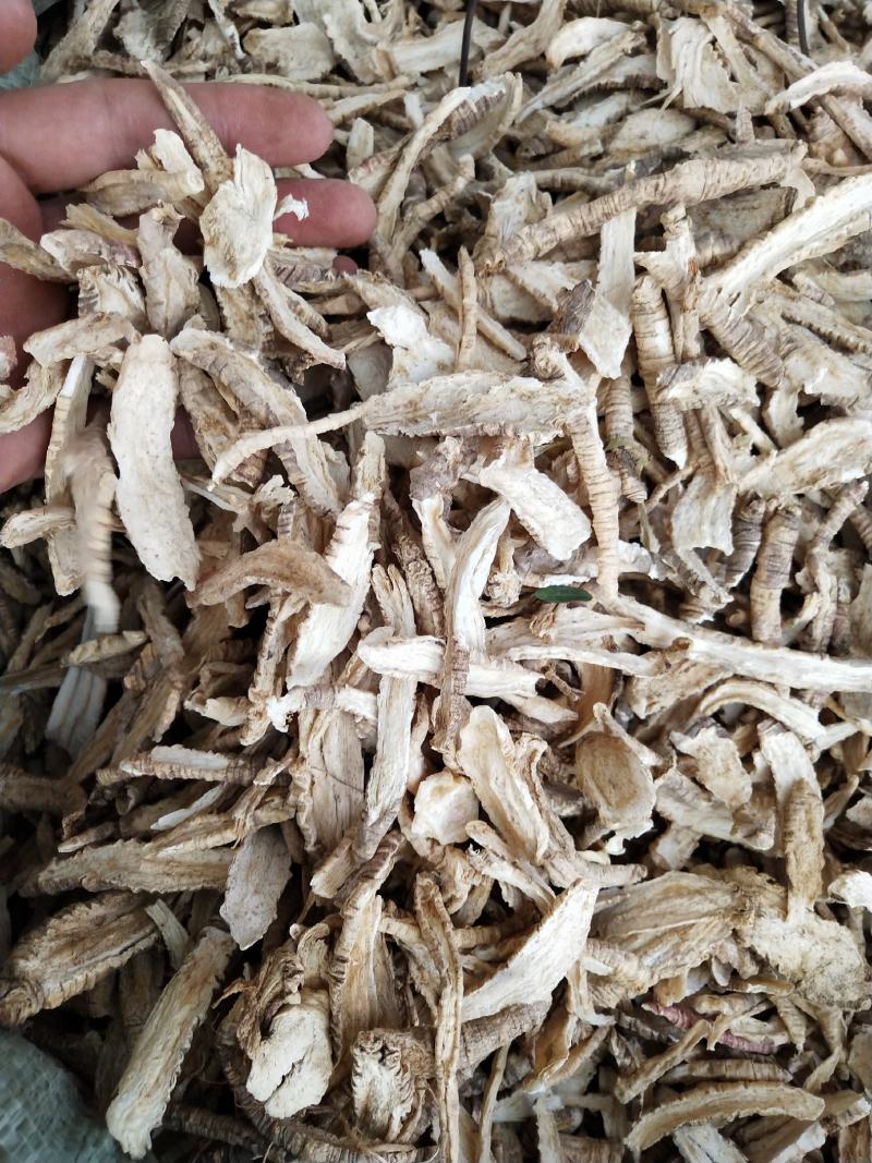 野生中药材,四叶参,别名山海螺,批发,零售,价格实惠