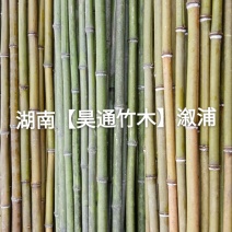 湘西雪峰山菜架竹、竹竿、竹架条2.4米金竹、铁竹