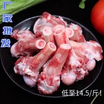新鲜10斤羊棒骨小腿骨羊骨髓熬汤羊骨头吸骨髓食堂江浙