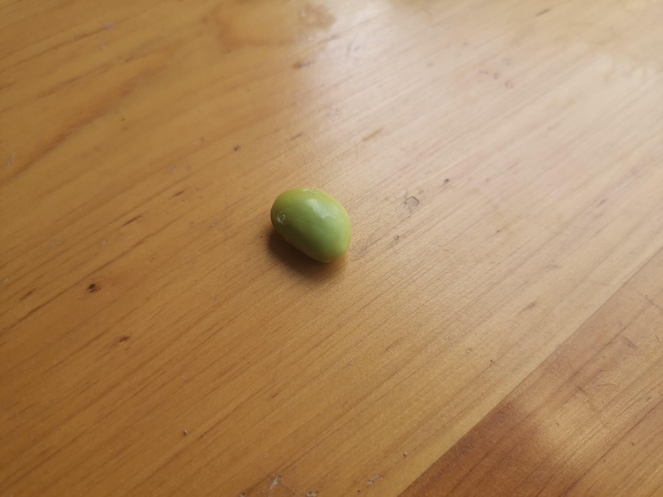 家庭成员一起剥毛豆的温馨场景