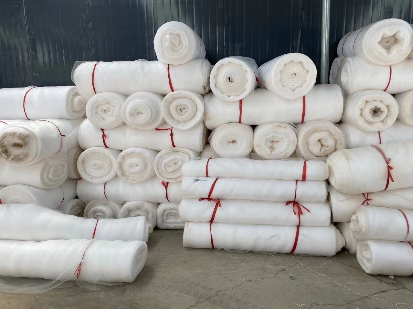 图示说明:山东寿光露天基地六月白菜遮阳网标准应用现场,银灰色遮阳网(型号SUN-30)绷紧固定于镀锌钢管支架(高度1.8m),网面平整无褶皱;图中可见阳光透过网孔形成均匀圆形光斑(直径约8cm),地面红外测温仪显示网下白菜冠层温度27.8℃,较网外裸地温度(32.5℃)低4.7℃;幼苗处于3–4片真叶期,叶片挺立、叶色浓绿,无灼伤斑。图片完整呈现物理降温效果与田间管理规范性 六月白菜遮阳网管理实景图:山东潍坊寿光大棚外,30%遮光率银灰遮阳网固定于1.8米高钢架,网下白菜幼苗整齐健壮,网面可见均匀透光斑点,地面温度计显示32.5℃,而网下植株冠层温度为27.8℃