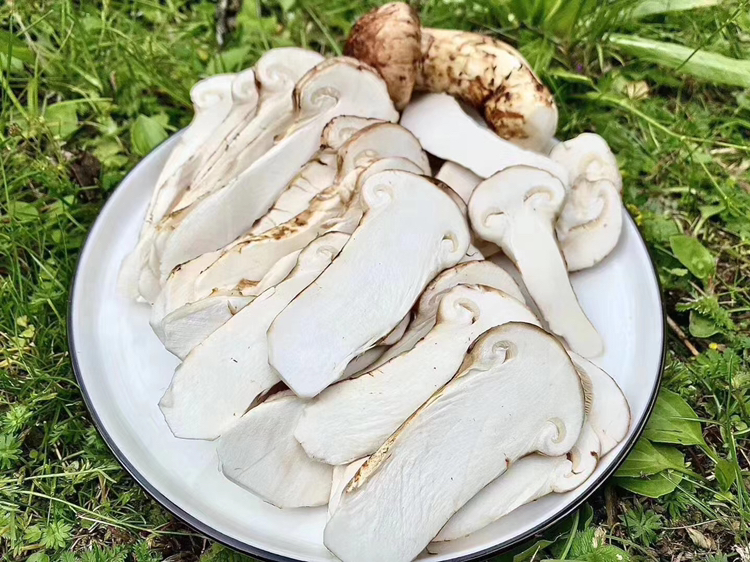 松茸成品展示图